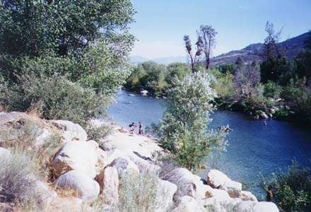 Swimming in the Kern River